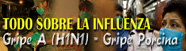 Influenza porcina